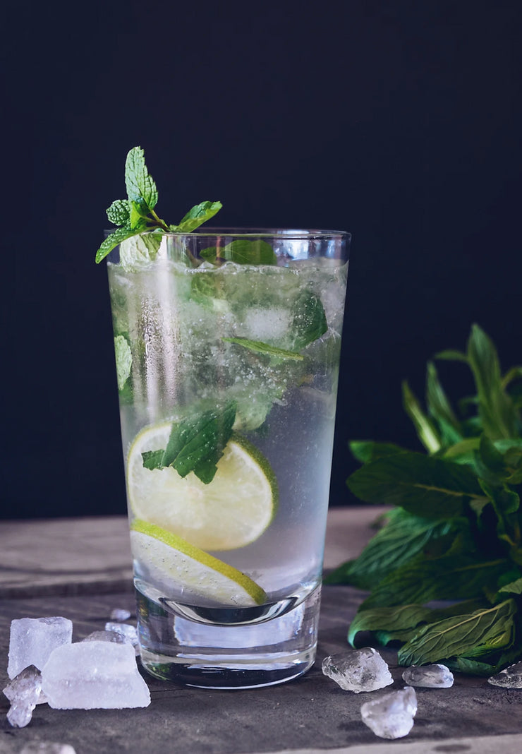 Alcohol Free Mojito